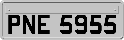 PNE5955