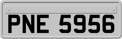 PNE5956