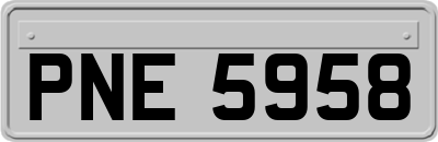 PNE5958