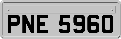 PNE5960