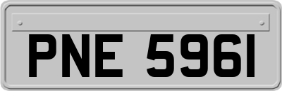 PNE5961