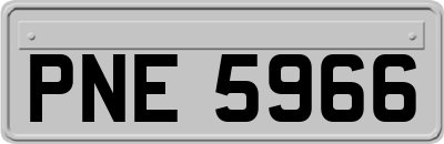 PNE5966