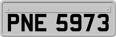 PNE5973