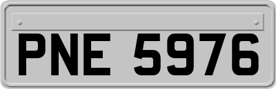 PNE5976