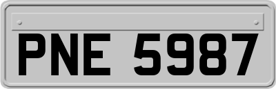 PNE5987