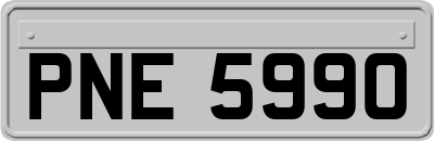 PNE5990