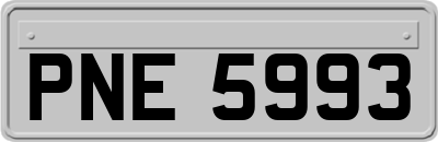 PNE5993