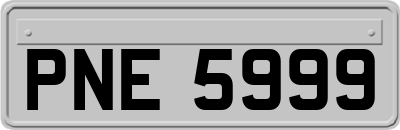 PNE5999