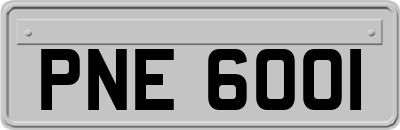 PNE6001
