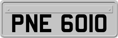 PNE6010