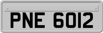 PNE6012