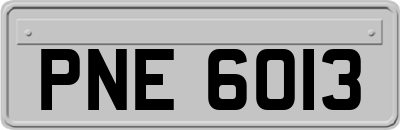 PNE6013