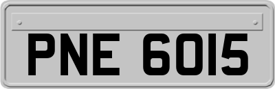 PNE6015