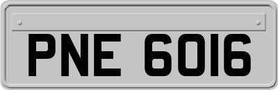 PNE6016