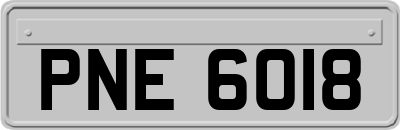 PNE6018