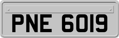 PNE6019