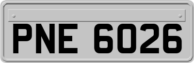 PNE6026