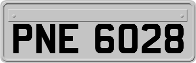 PNE6028