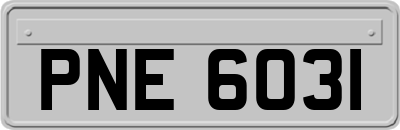 PNE6031