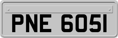 PNE6051