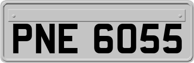 PNE6055