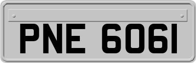PNE6061