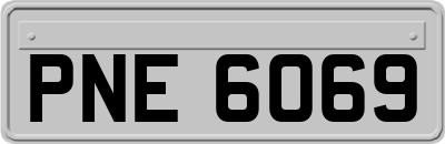 PNE6069