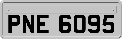 PNE6095