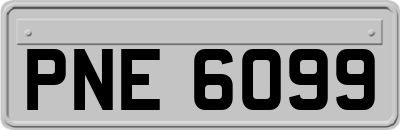PNE6099
