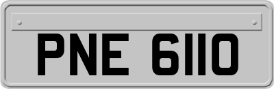 PNE6110