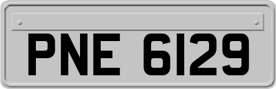 PNE6129