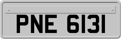 PNE6131