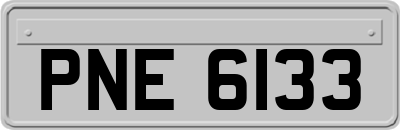 PNE6133