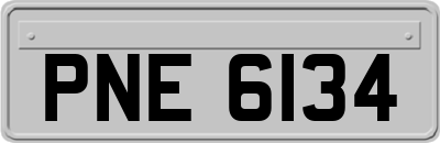 PNE6134