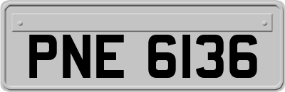 PNE6136
