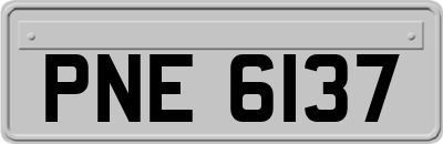 PNE6137