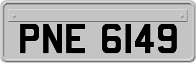 PNE6149