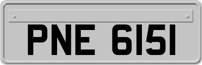 PNE6151