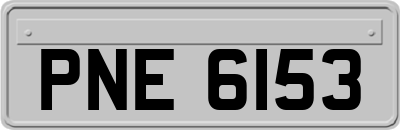 PNE6153