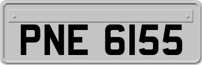 PNE6155