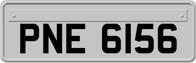 PNE6156