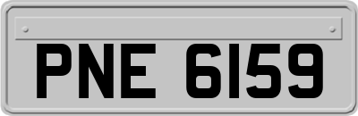 PNE6159
