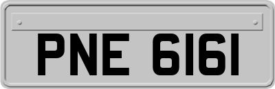 PNE6161