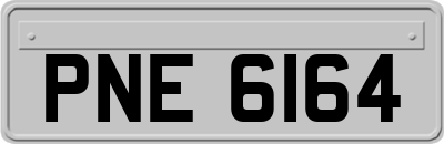 PNE6164