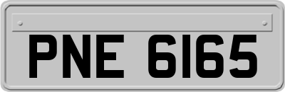 PNE6165