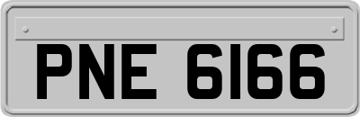 PNE6166