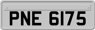 PNE6175