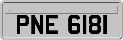 PNE6181