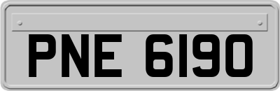 PNE6190
