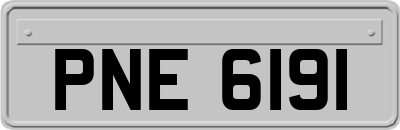 PNE6191